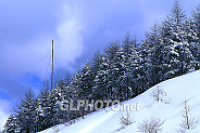 1939995507_tbVrecam_winter_068.jpg